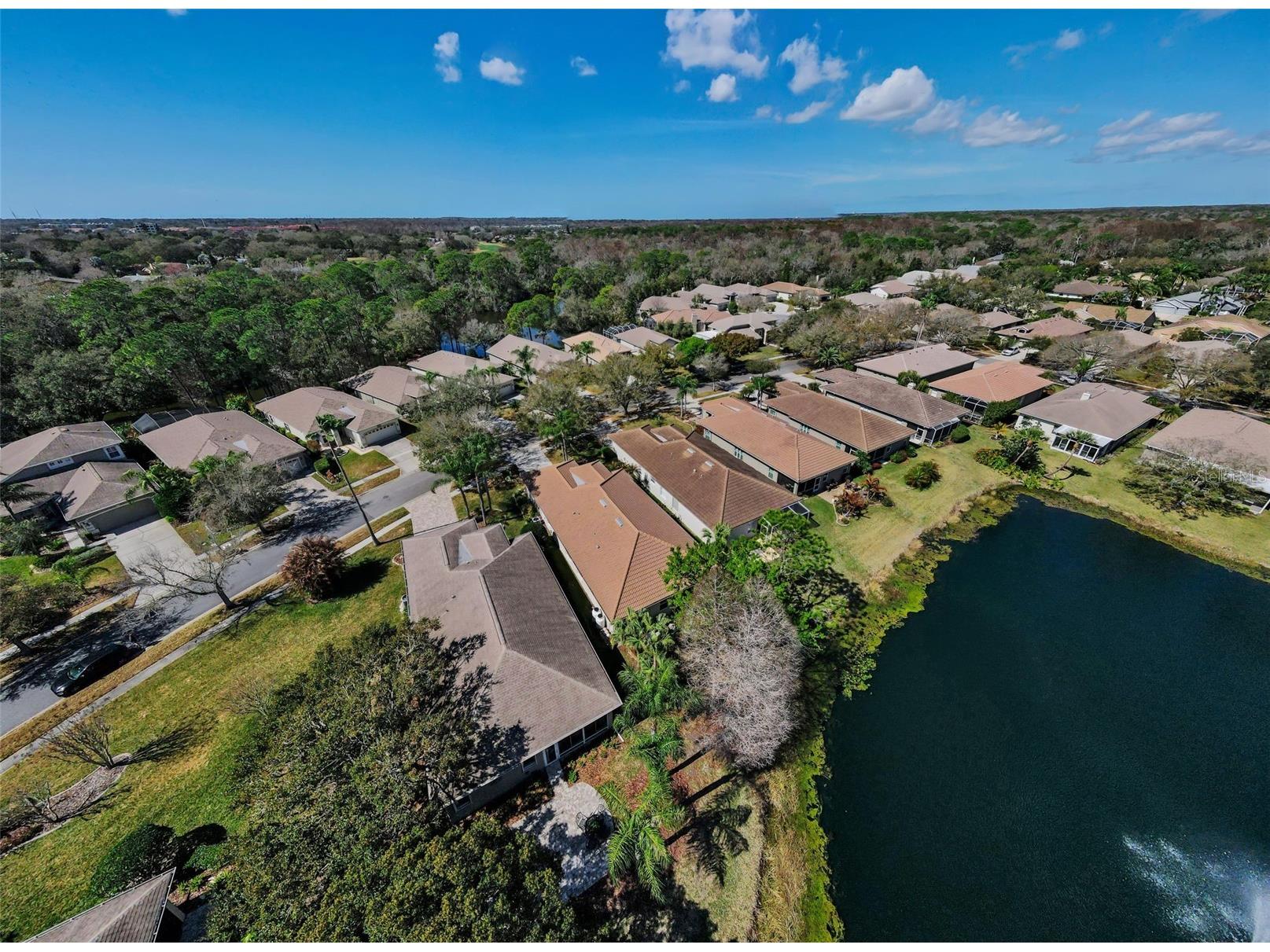 1527 Woodstream Drive Oldsmar FL 34677 TB8476648 image55