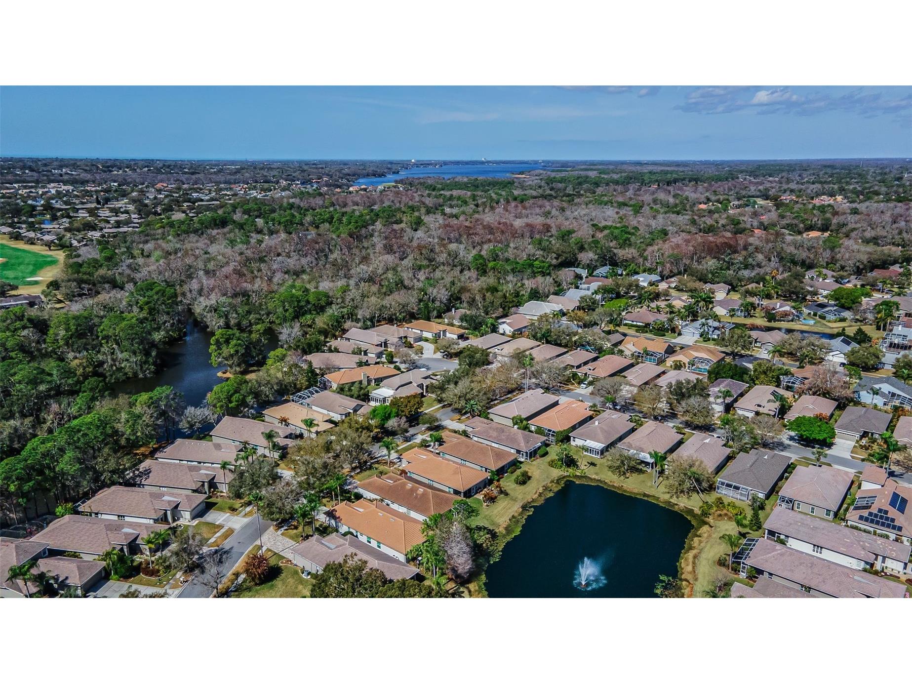 1527 Woodstream Drive Oldsmar FL 34677 TB8476648 image56