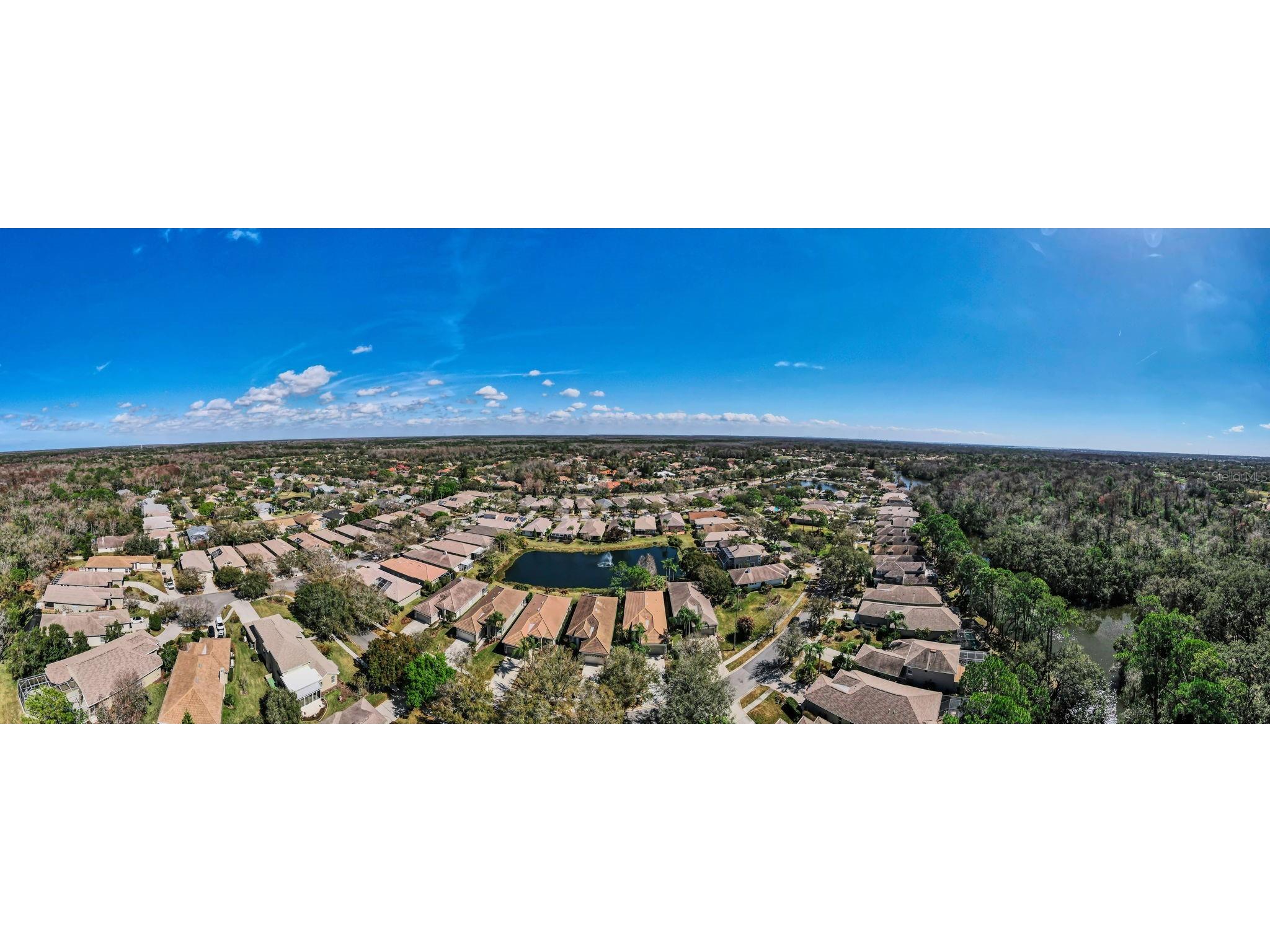 1527 Woodstream Drive Oldsmar FL 34677 TB8476648 image57