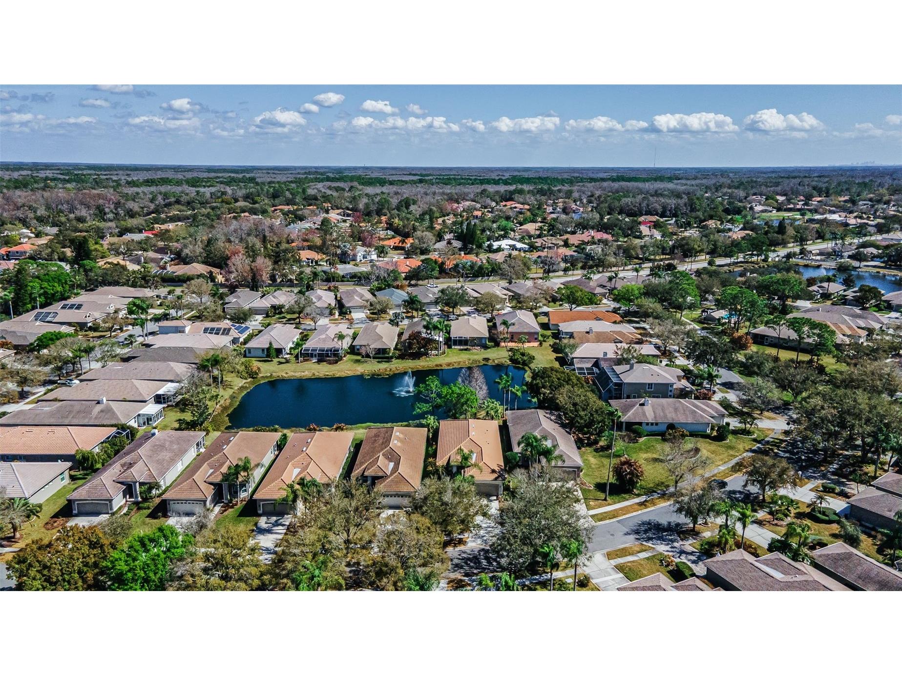 1527 Woodstream Drive Oldsmar FL 34677 TB8476648 image58