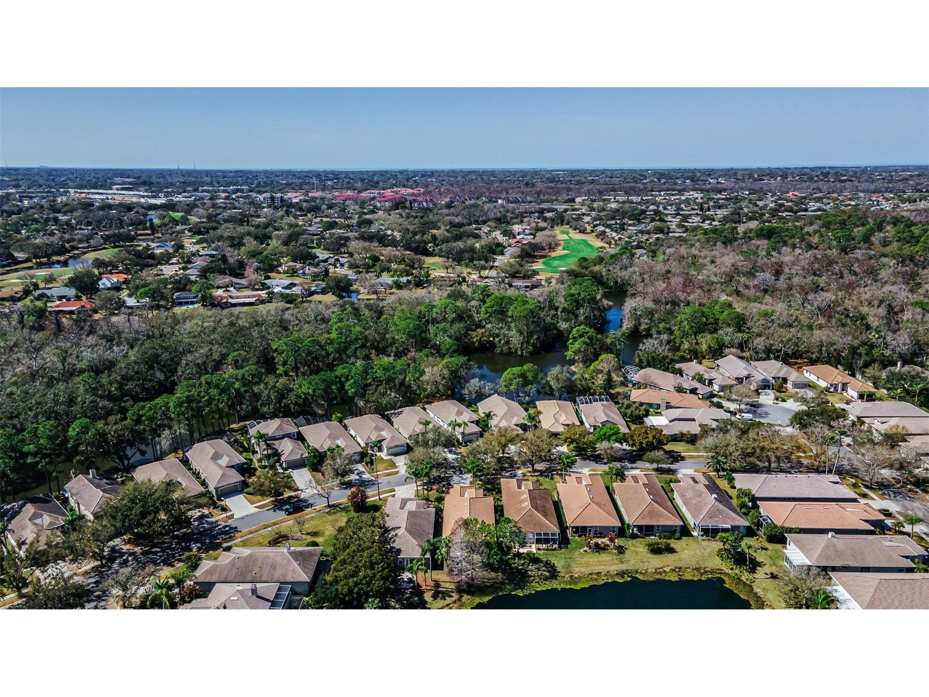 1527 Woodstream Drive Oldsmar FL 34677 TB8476648 image59