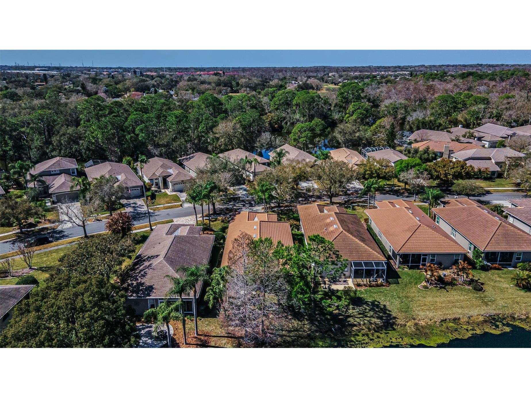 1527 Woodstream Drive Oldsmar FL 34677 TB8476648 image60