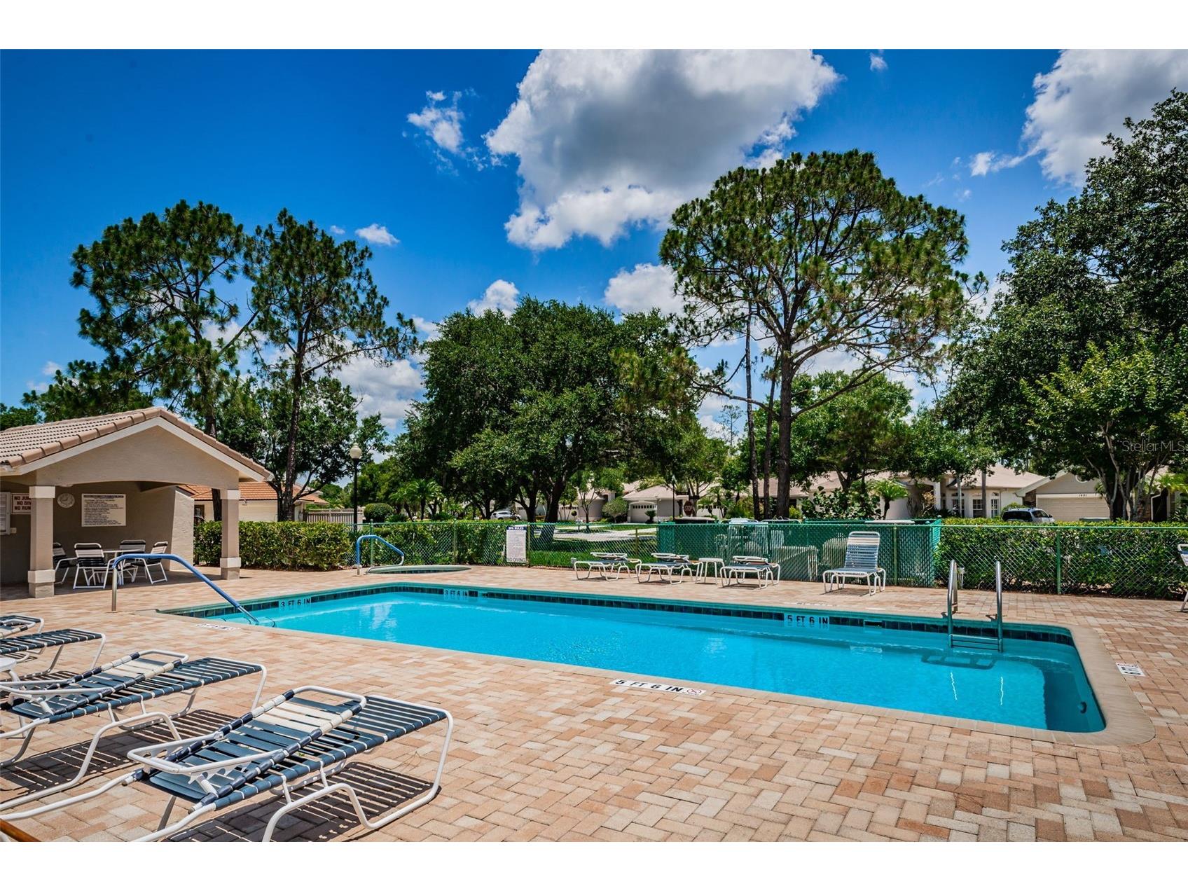 1527 Woodstream Drive Oldsmar FL 34677 TB8476648 image62