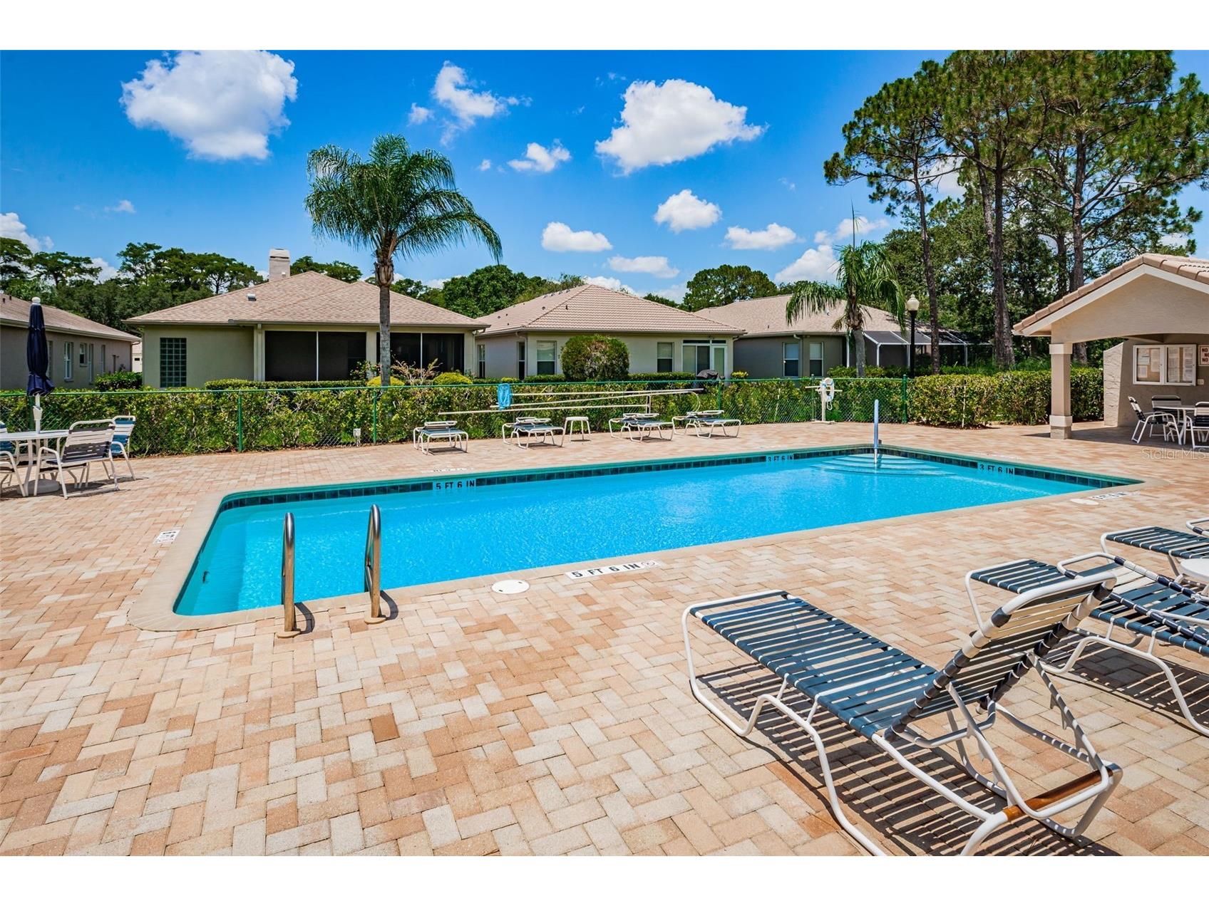 1527 Woodstream Drive Oldsmar FL 34677 TB8476648 image66