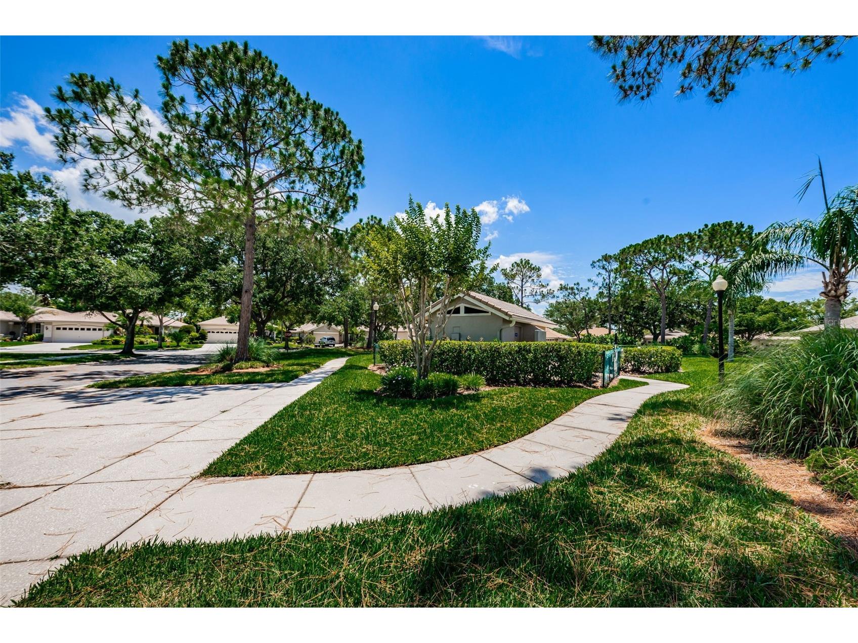 1527 Woodstream Drive Oldsmar FL 34677 TB8476648 image69