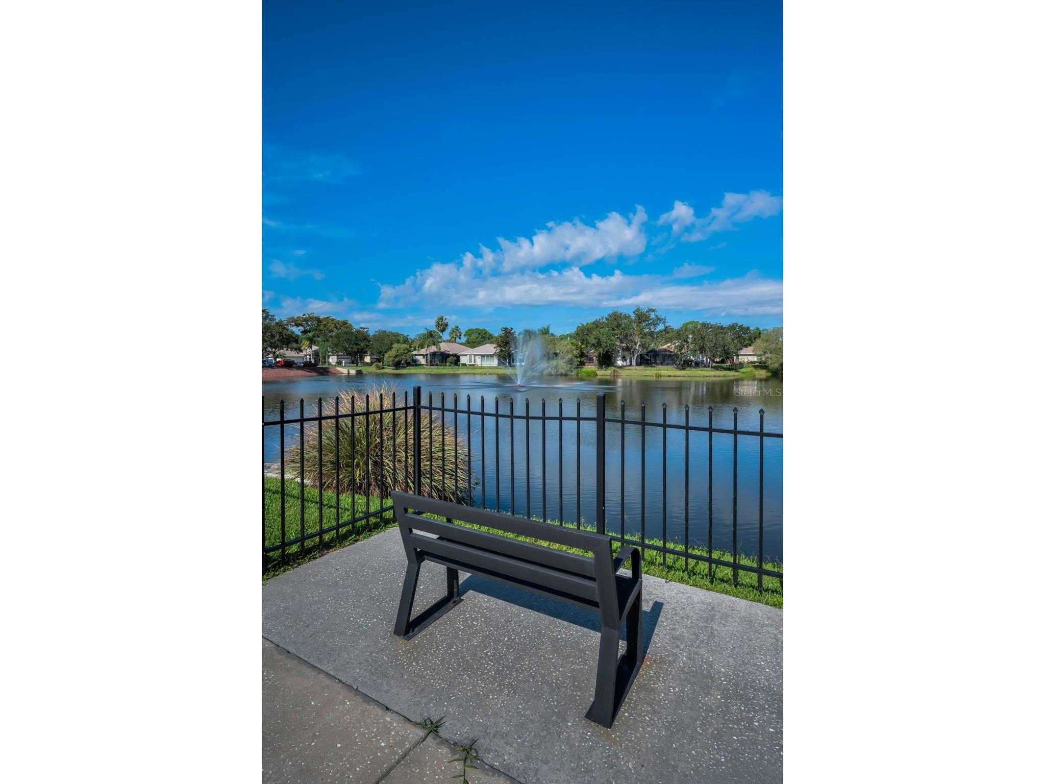 1527 Woodstream Drive Oldsmar FL 34677 TB8476648 image72