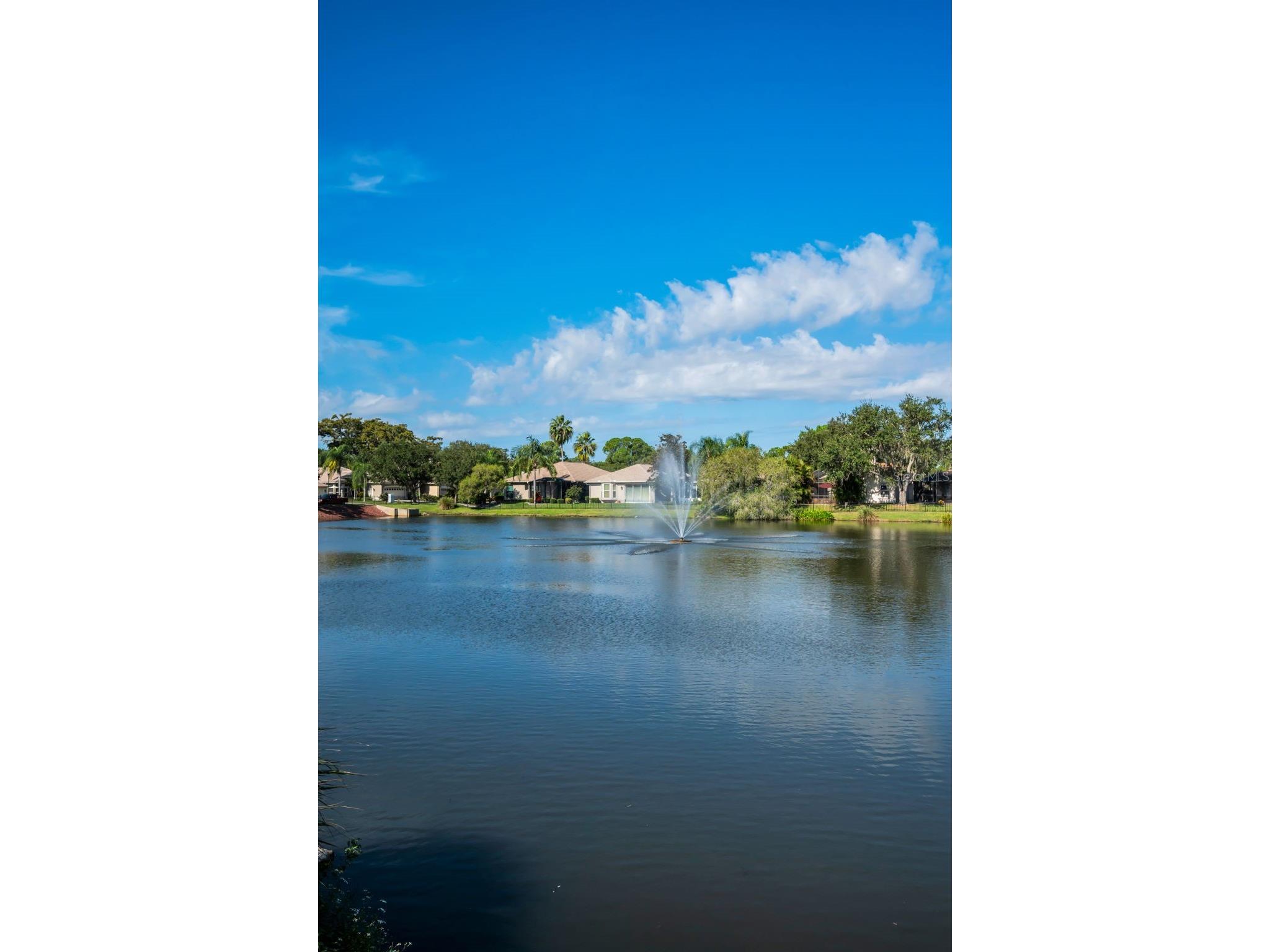 1527 Woodstream Drive Oldsmar FL 34677 TB8476648 image73