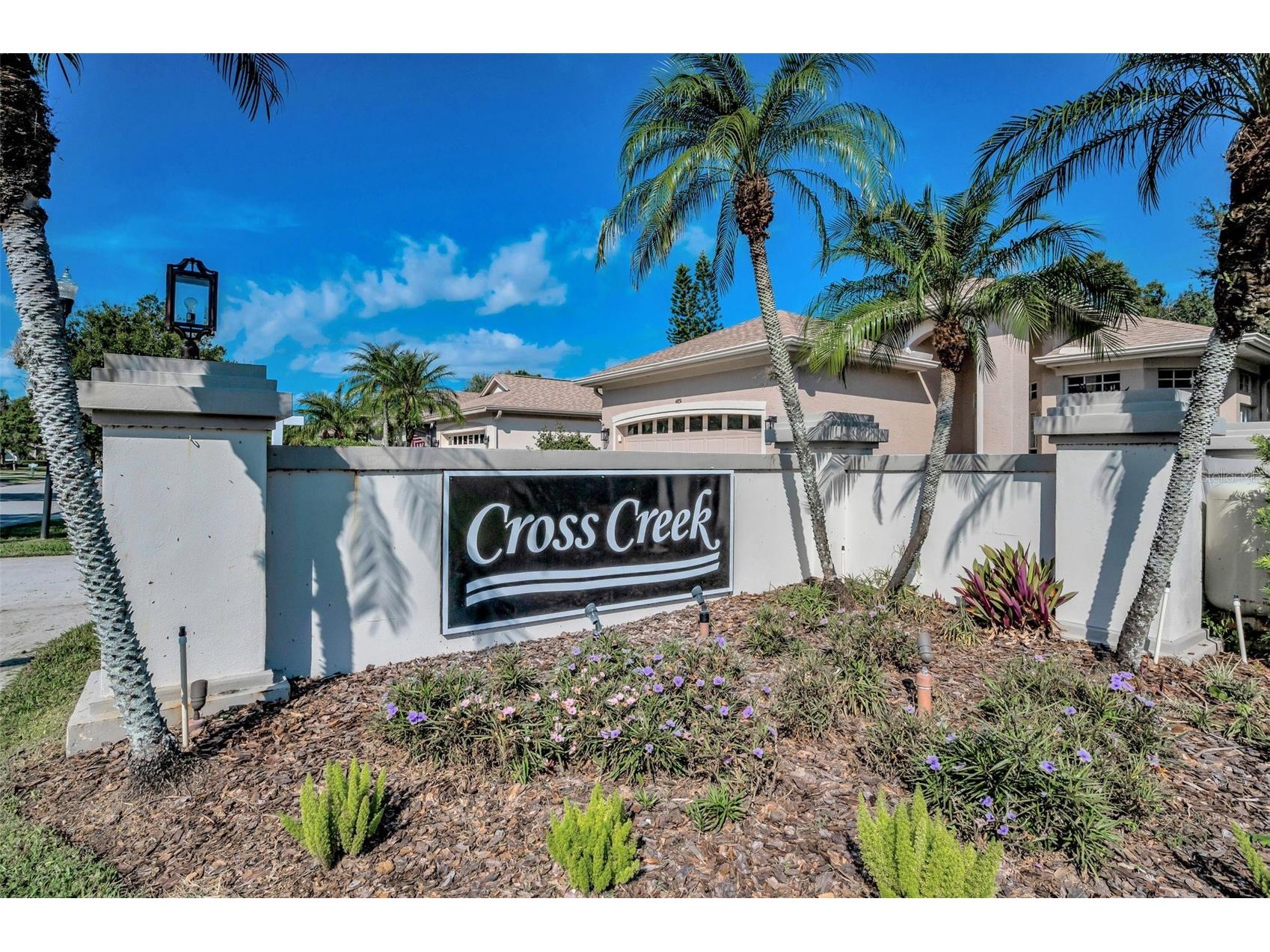 1527 Woodstream Drive Oldsmar FL 34677 TB8476648 image76