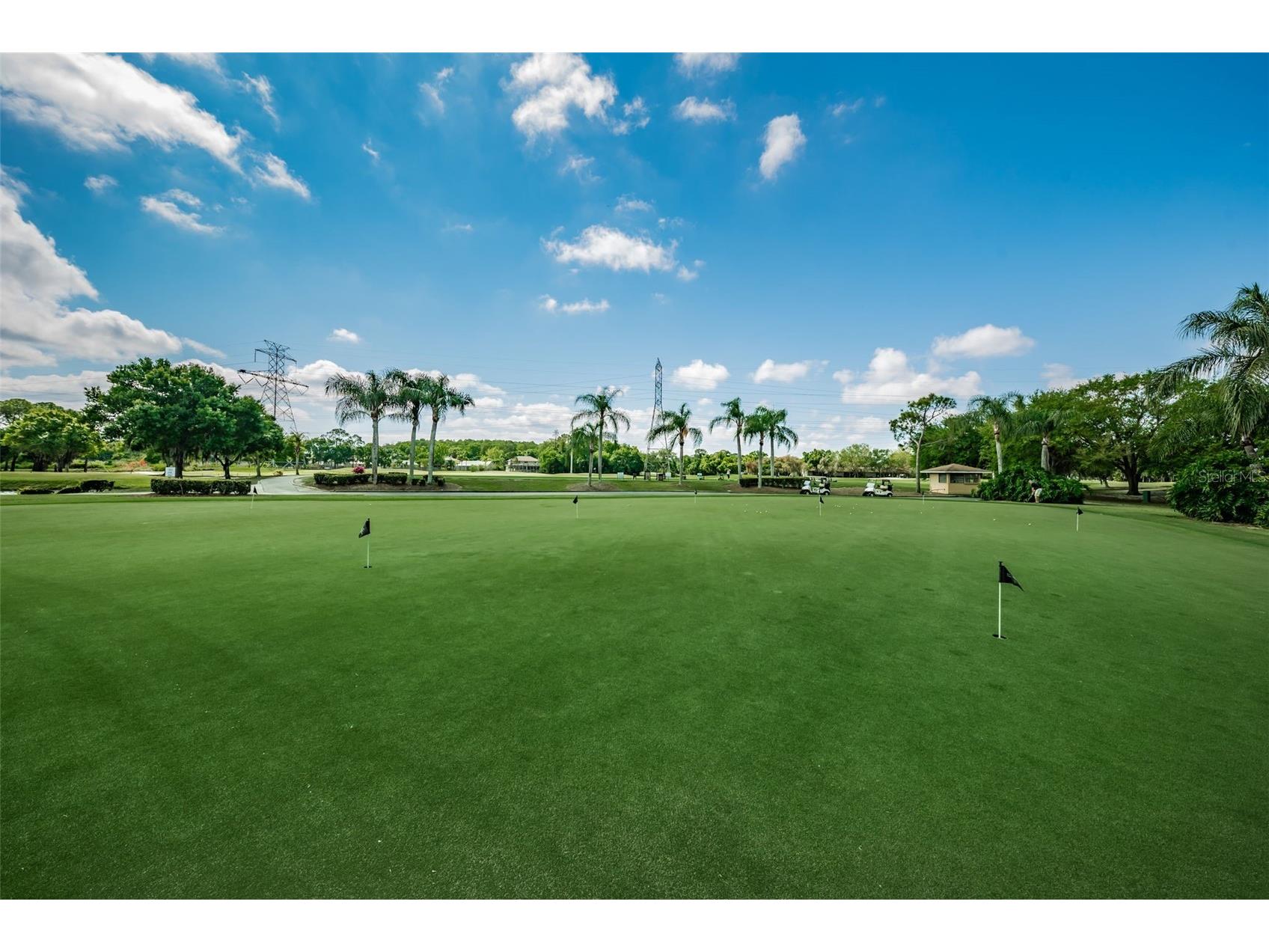 1527 Woodstream Drive Oldsmar FL 34677 TB8476648 image81