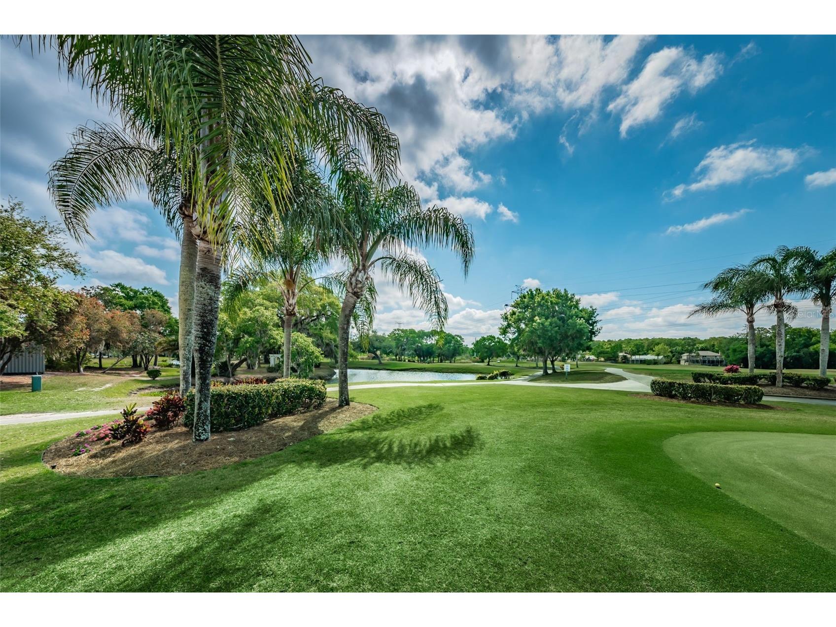 1527 Woodstream Drive Oldsmar FL 34677 TB8476648 image82