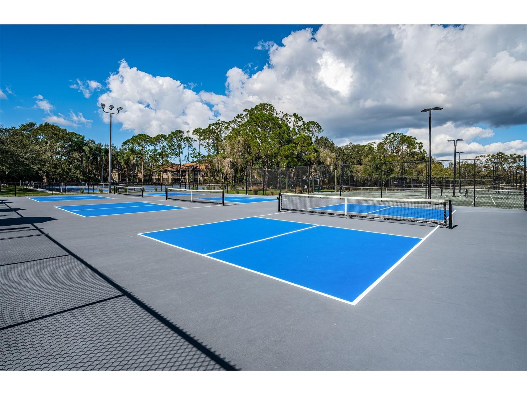 1527 Woodstream Drive Oldsmar FL 34677 TB8476648 image84
