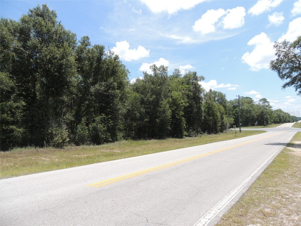 15271 E Levy Street Williston FL 32696 OM660487 image1