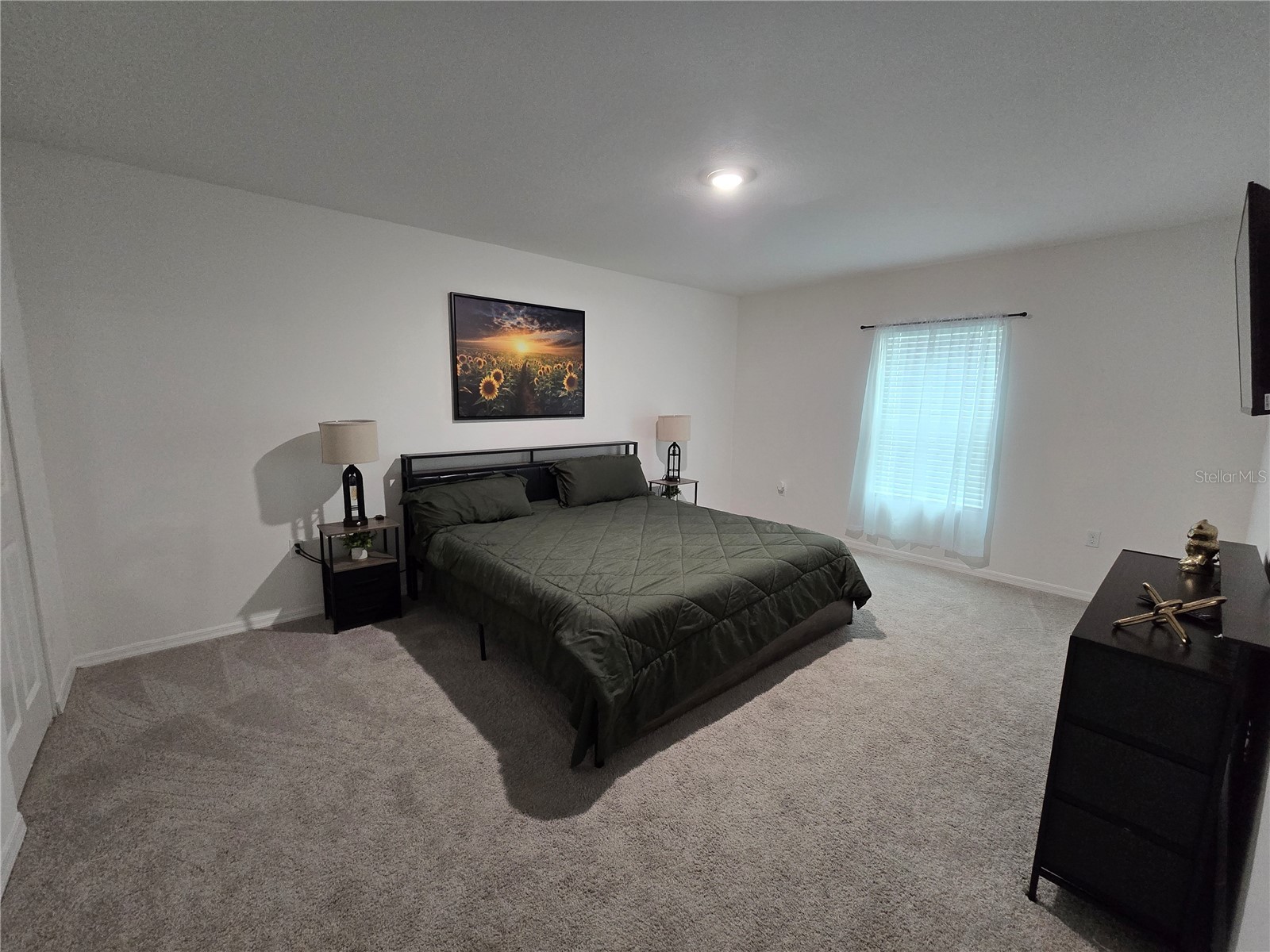15271 Green Jay Road Weeki Wachee FL 34614 TB8526833 image11