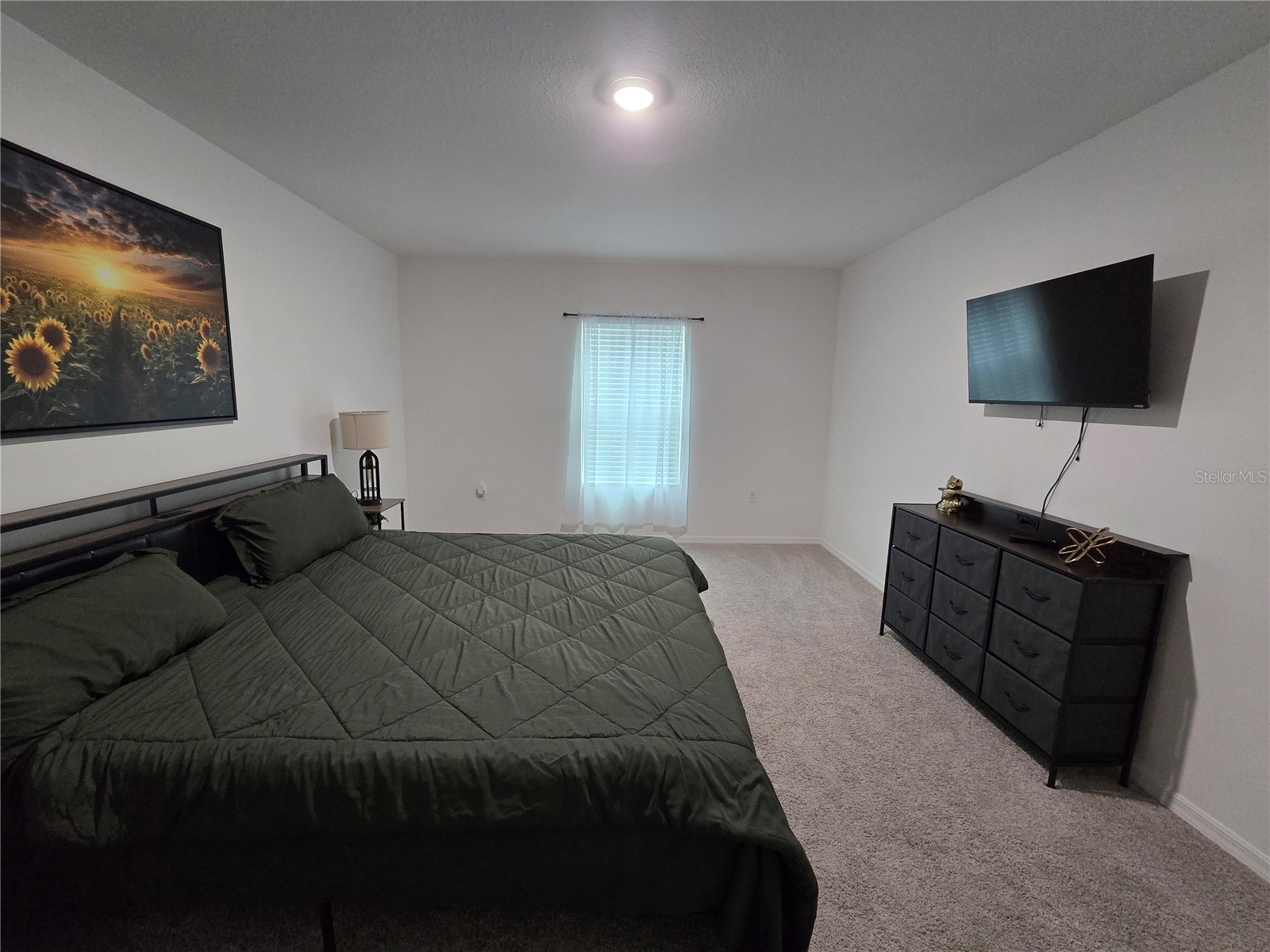 15271 Green Jay Road Weeki Wachee FL 34614 TB8526833 image12