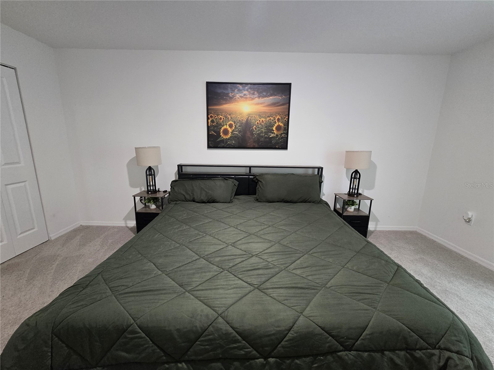 15271 Green Jay Road Weeki Wachee FL 34614 TB8526833 image14