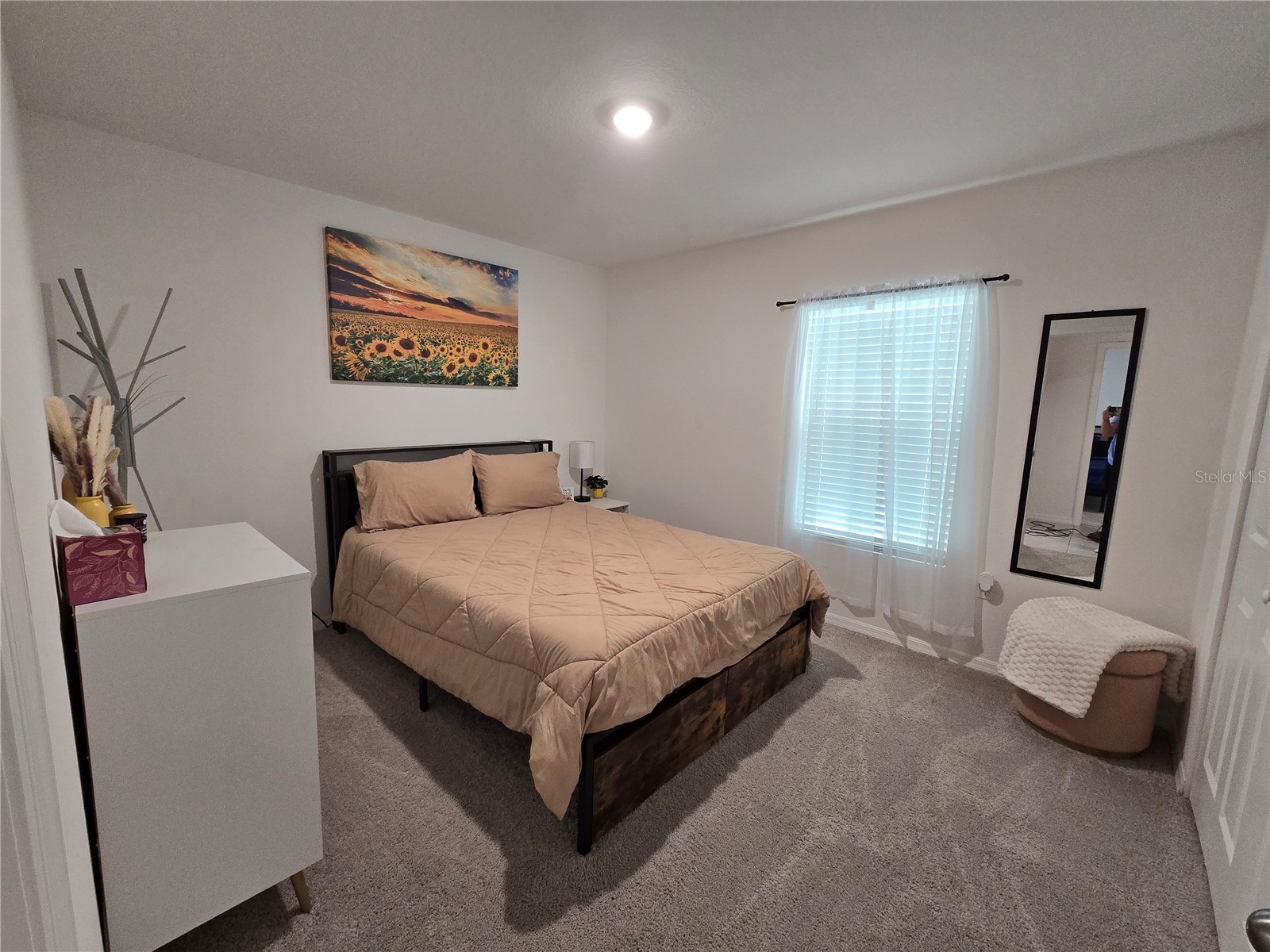 15271 Green Jay Road Weeki Wachee FL 34614 TB8526833 image17