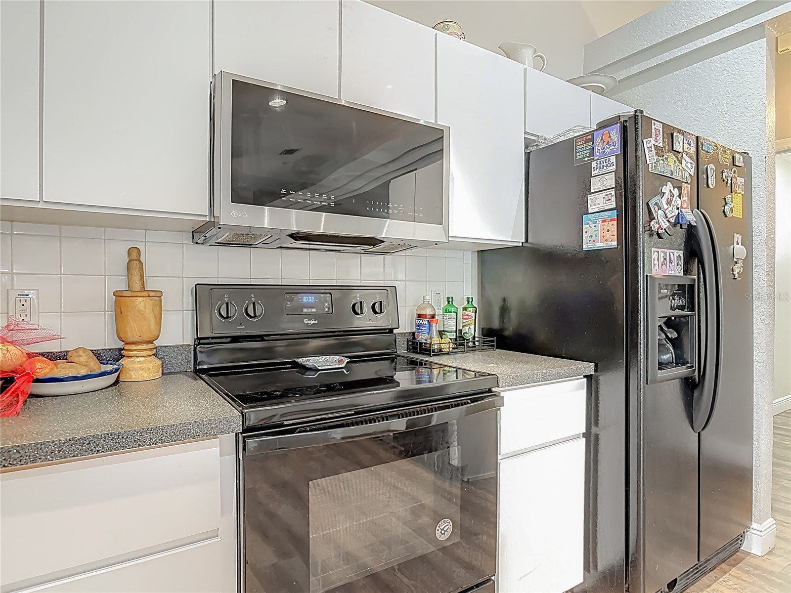 15271 SE 24th Street Road Ocklawaha FL 32179 OM719662 image30