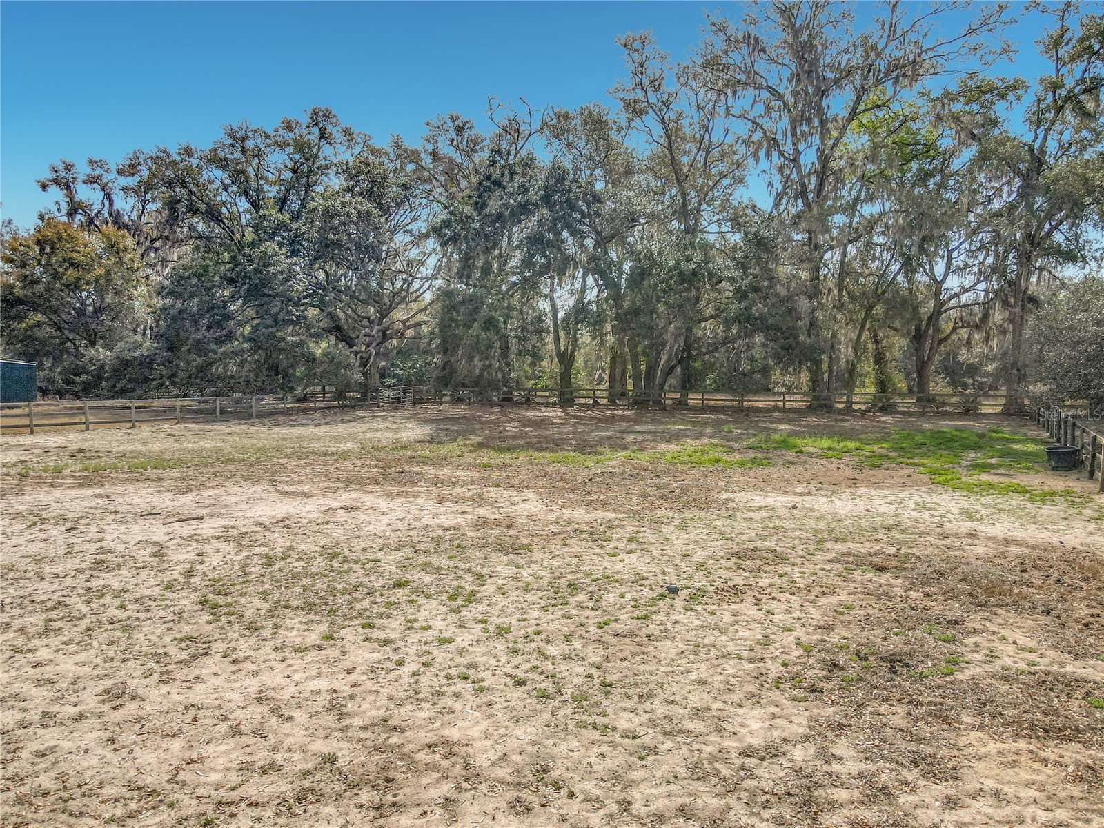 15271 SE 24th Street Road Ocklawaha FL 32179 OM719662 image62