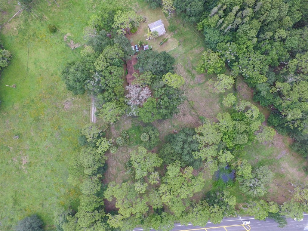 15275 Morris Bridge Road Thonotosassa FL 33592 T3342184 image1