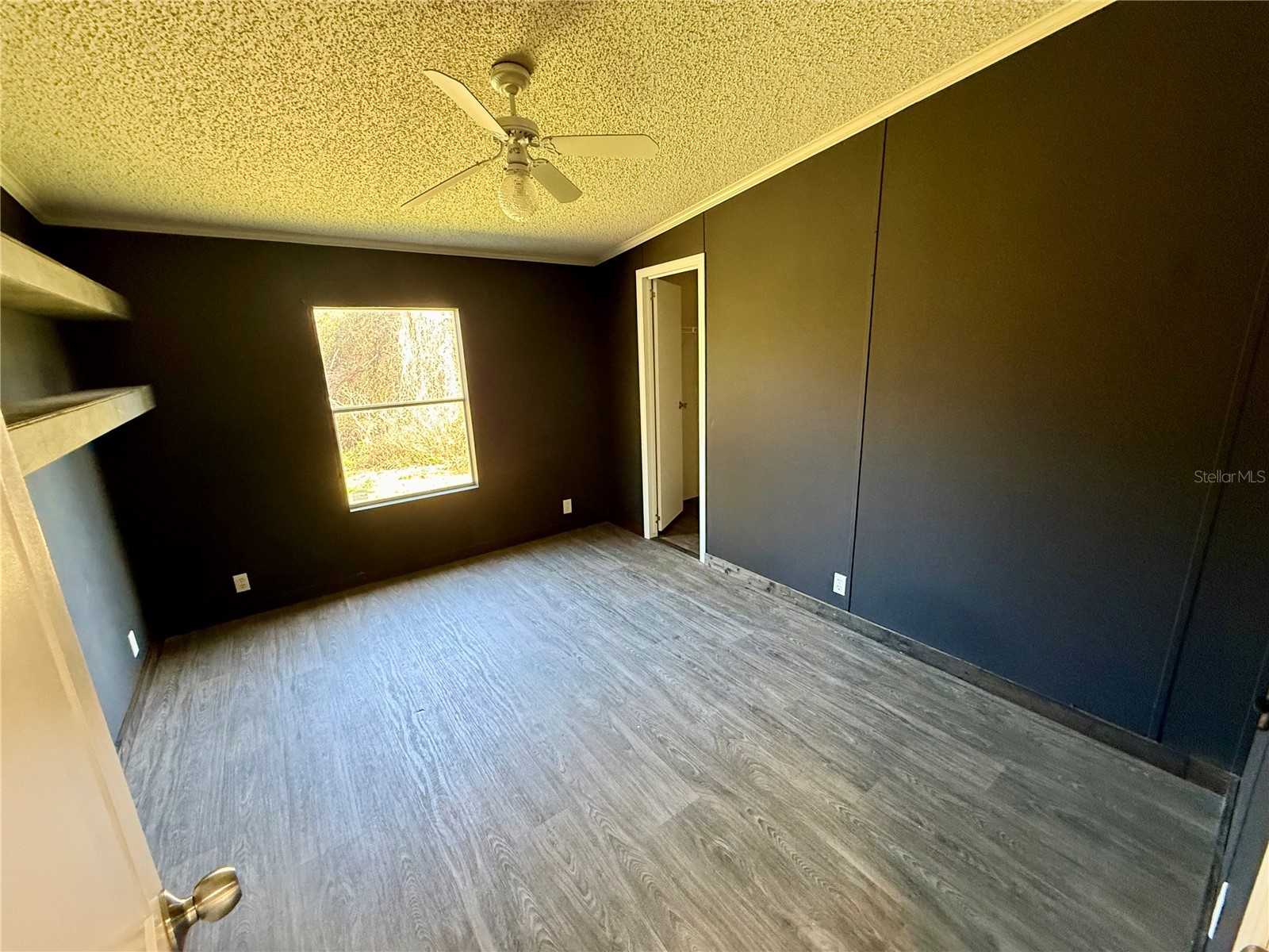 15275 NE 238th Street Fort Mc Coy FL 32134 OM720803 image20