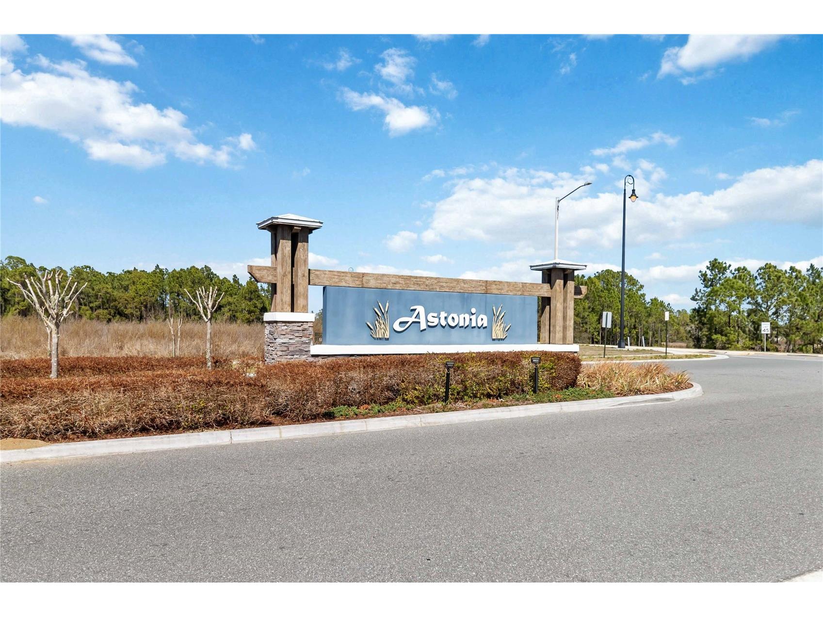1528 Eucalyptus Way Davenport FL 33837 TB8481155 image32