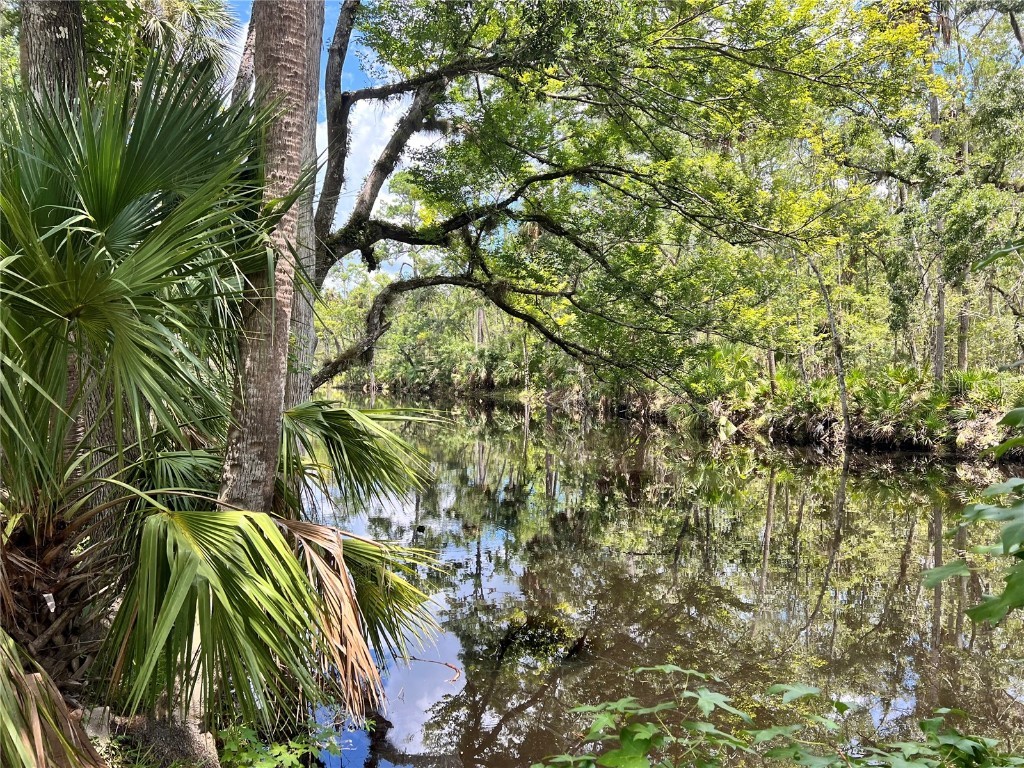 1528 Palm Street NE Steinhatchee FL 32359 - STEINHATCHEE RIVER W7876444 image3