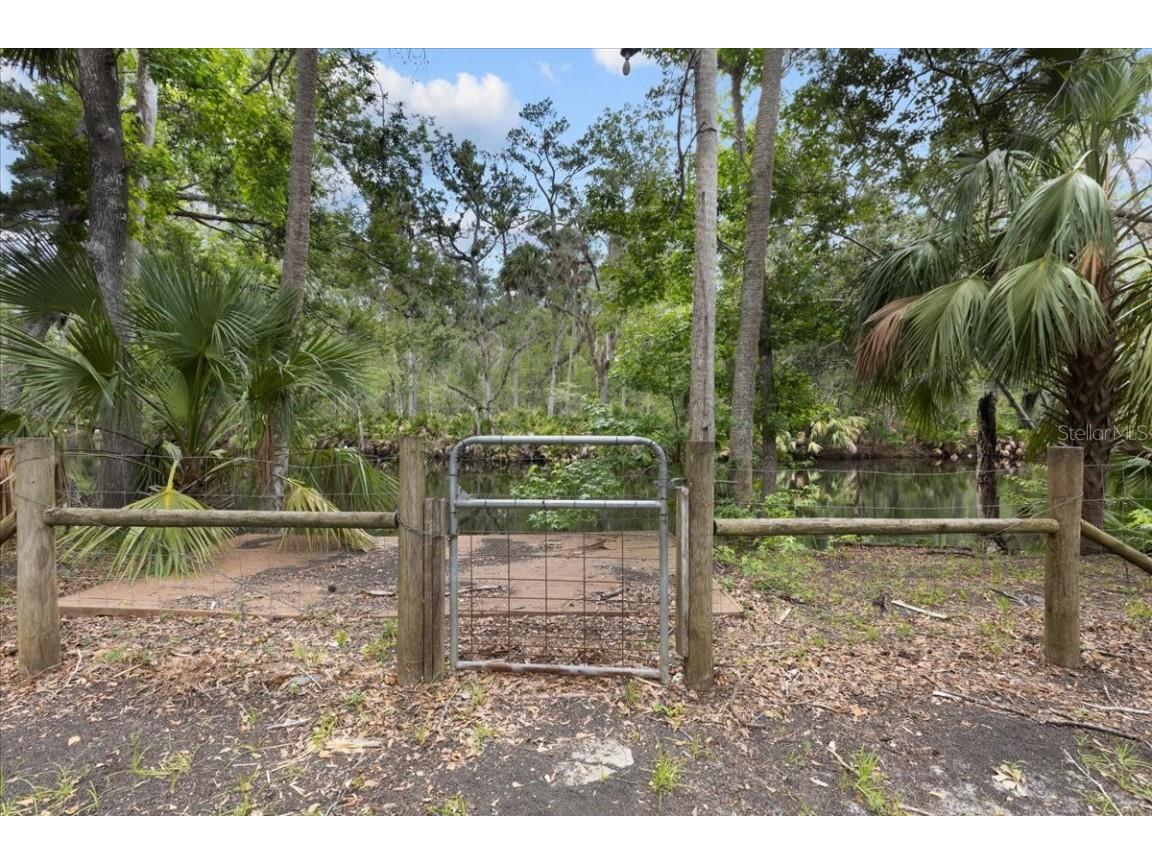 1528 Palm Street NE Steinhatchee FL 32359 - STEINHATCHEE RIVER W7876444 image34