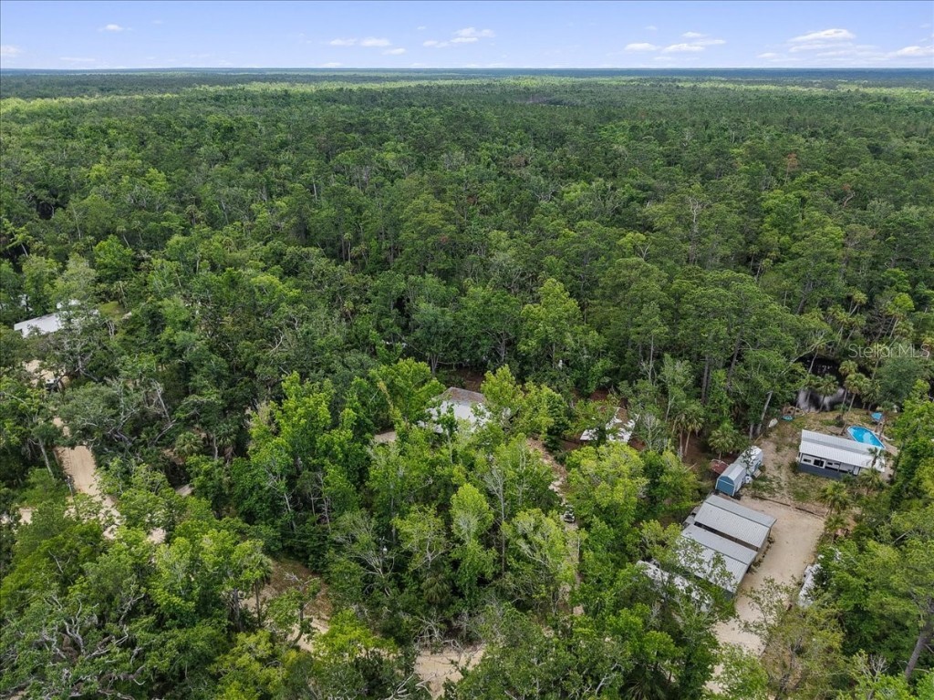 1528 Palm Street NE Steinhatchee FL 32359 - STEINHATCHEE RIVER W7876444 image38