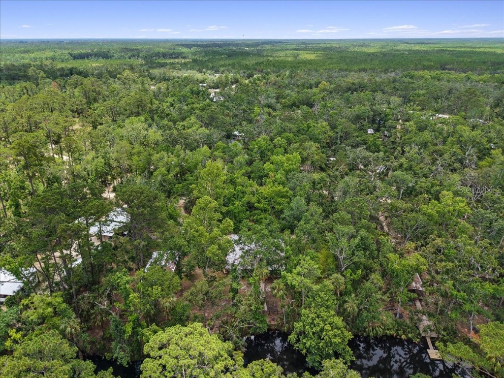 1528 Palm Street NE Steinhatchee FL 32359 - STEINHATCHEE RIVER W7876444 image39