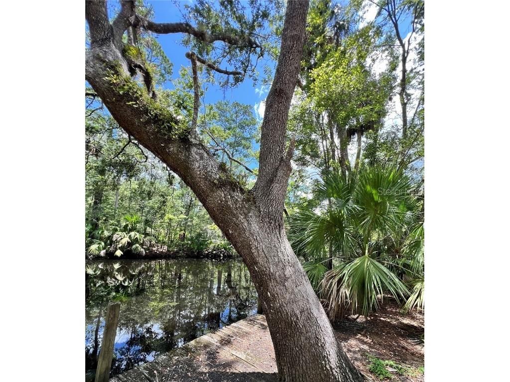 1528 Palm Street NE Steinhatchee FL 32359 - STEINHATCHEE RIVER W7876444 image4
