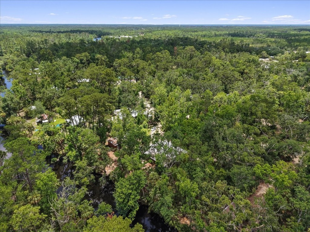 1528 Palm Street NE Steinhatchee FL 32359 - STEINHATCHEE RIVER W7876444 image40