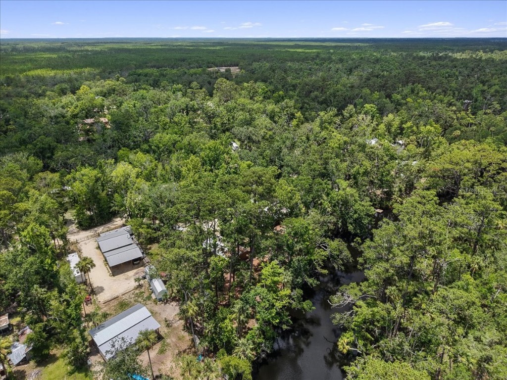 1528 Palm Street NE Steinhatchee FL 32359 - STEINHATCHEE RIVER W7876444 image41