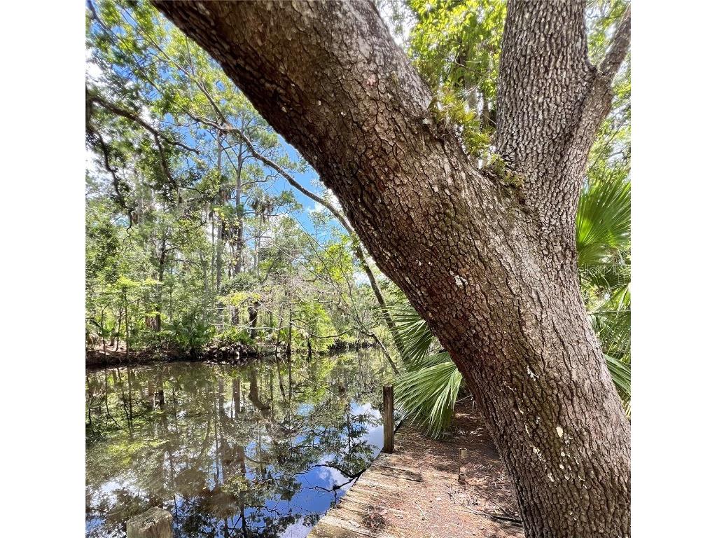 1528 Palm Street NE Steinhatchee FL 32359 - STEINHATCHEE RIVER W7876444 image5