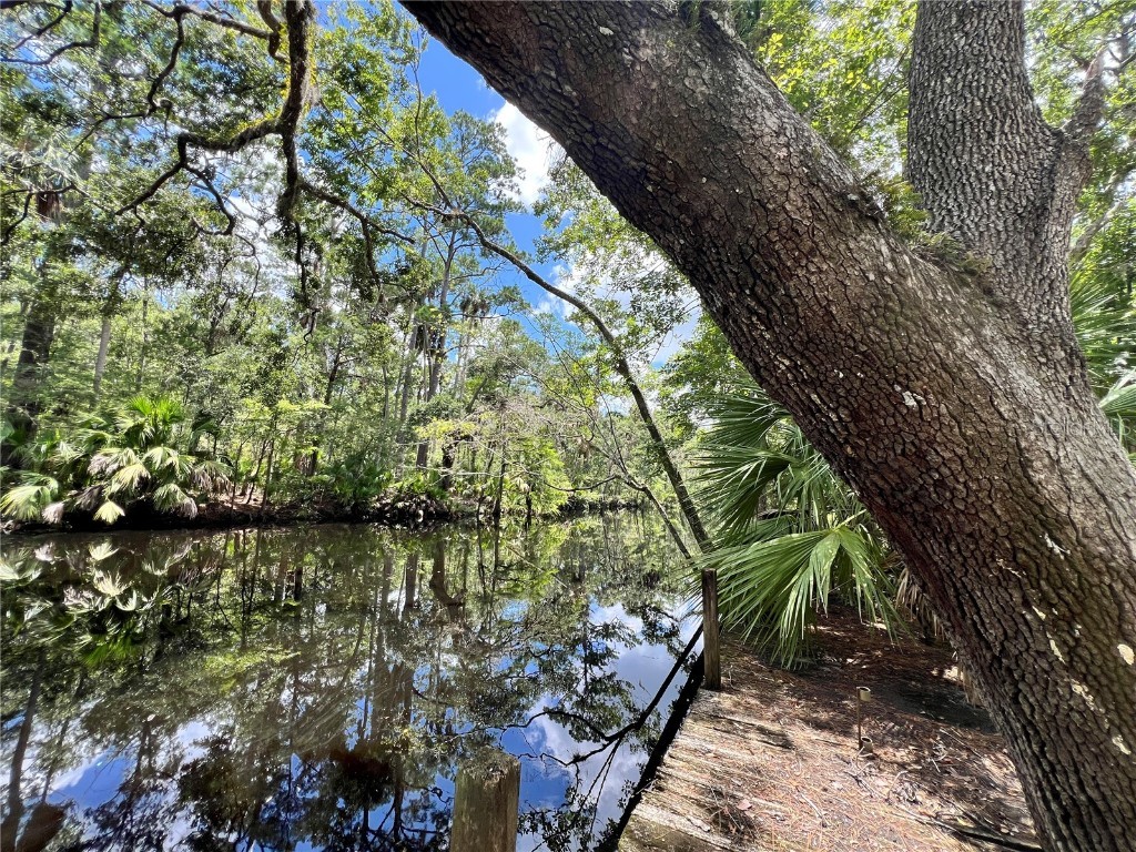 1528 Palm Street NE Steinhatchee FL 32359 - STEINHATCHEE RIVER W7876444 image6