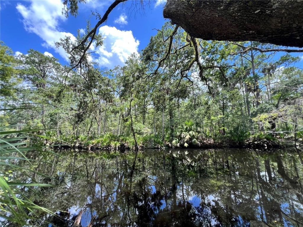 1528 Palm Street NE Steinhatchee FL 32359 - STEINHATCHEE RIVER W7876444 image7