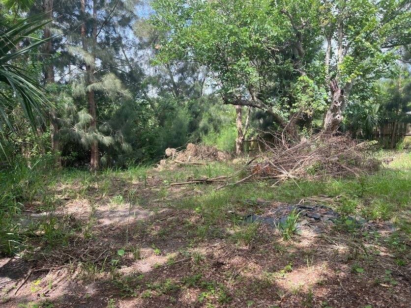 1528 Stevensons Drive Clearwater FL 33755 TB8307522 image14