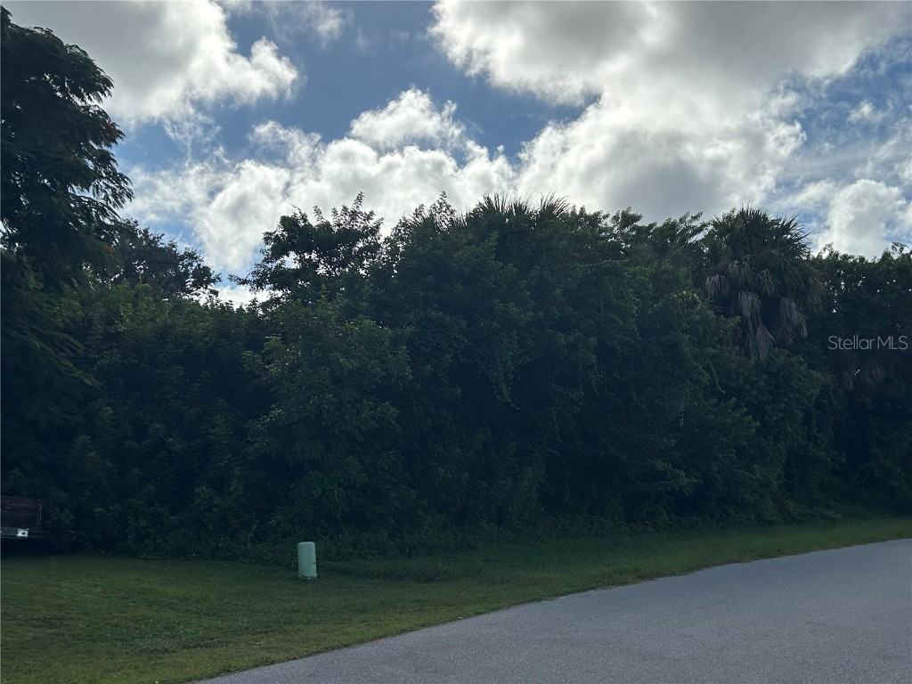 1528 Upshaw Terrace Port Charlotte FL 33952 A4667301 image1