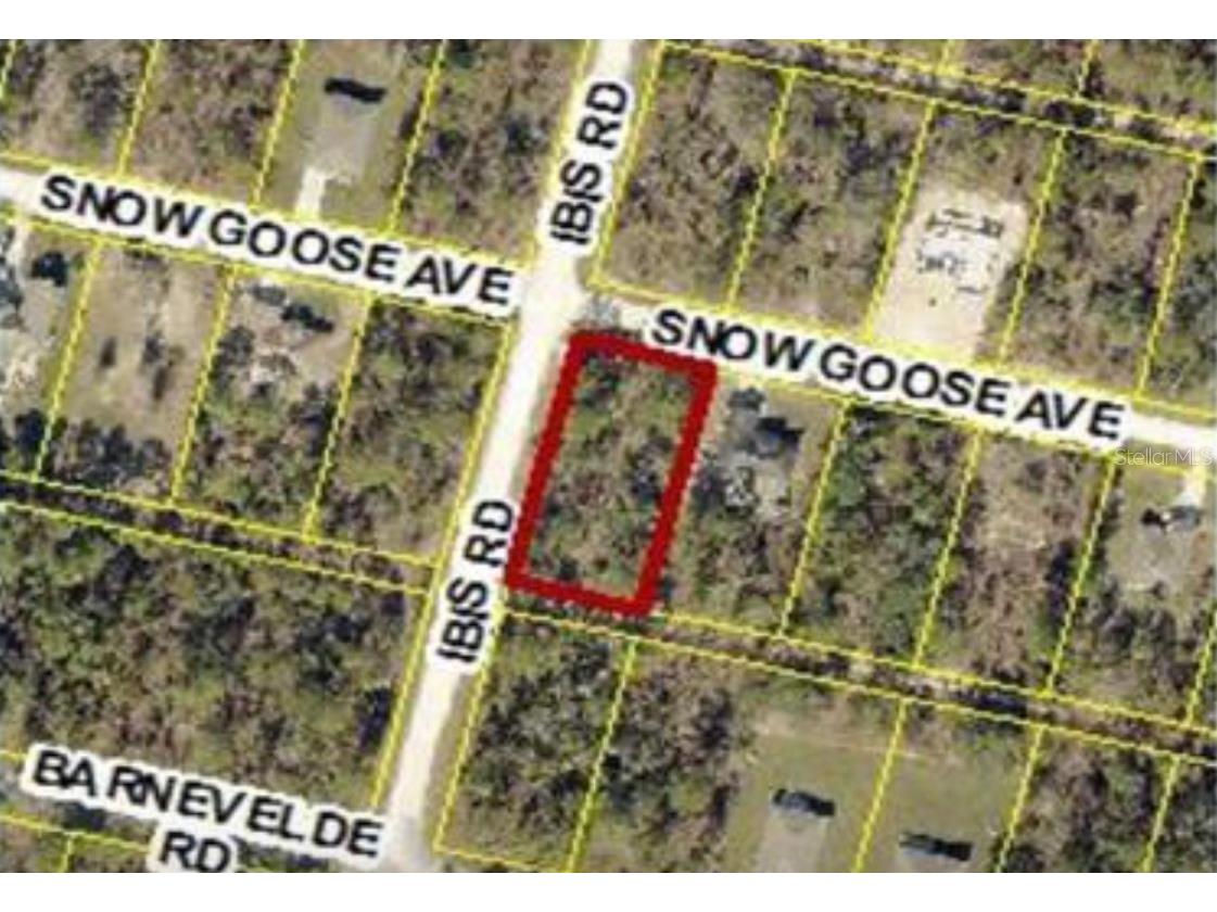 15282 Ibis Road Brooksville FL 34614 W7878173 image1