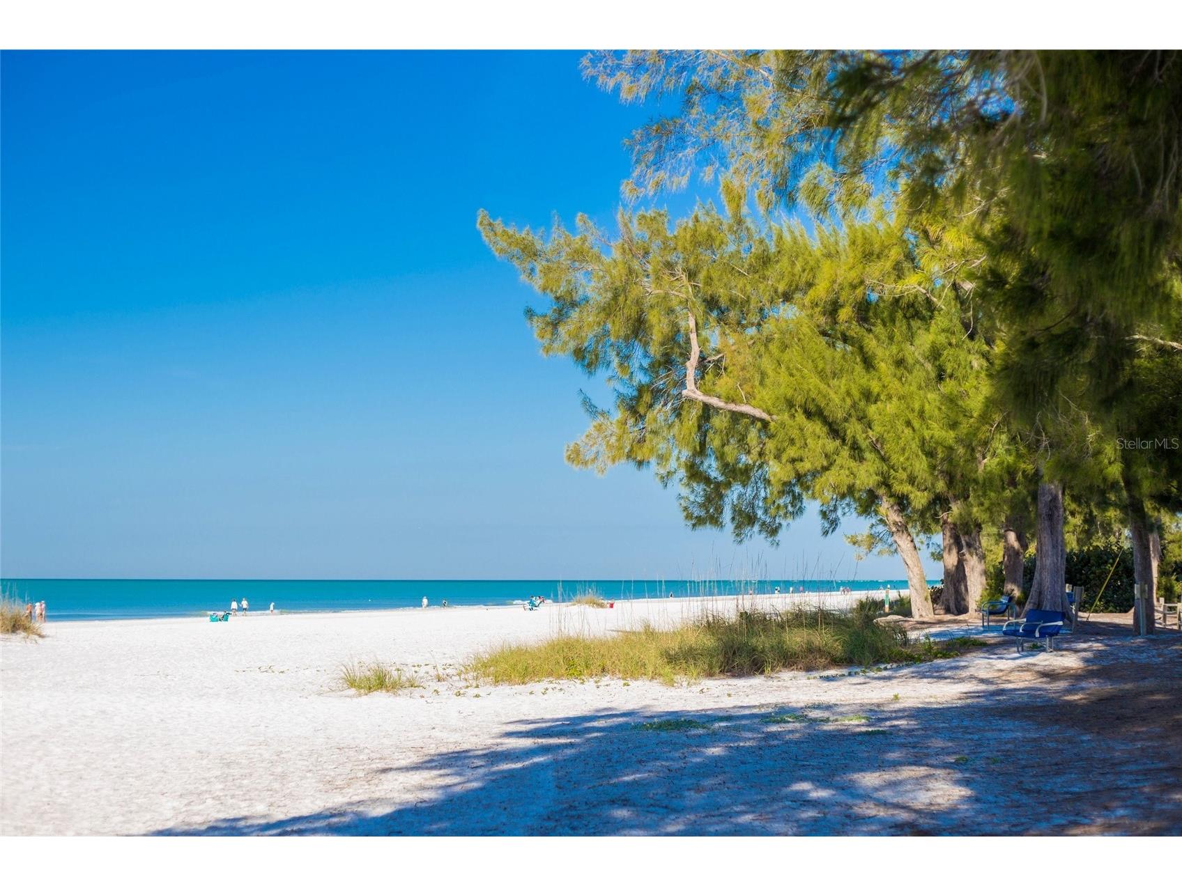 1529 Allegheny Drive Sun City Center FL 33573 A4685820 image42