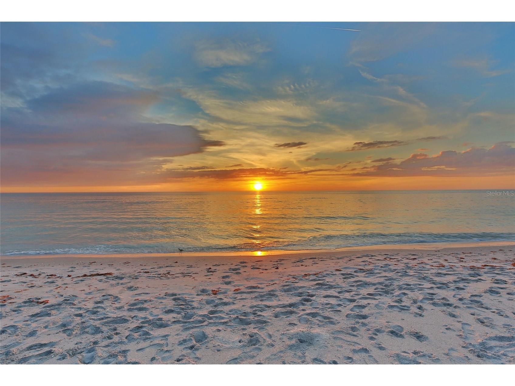 1529 Allegheny Drive Sun City Center FL 33573 A4685820 image46