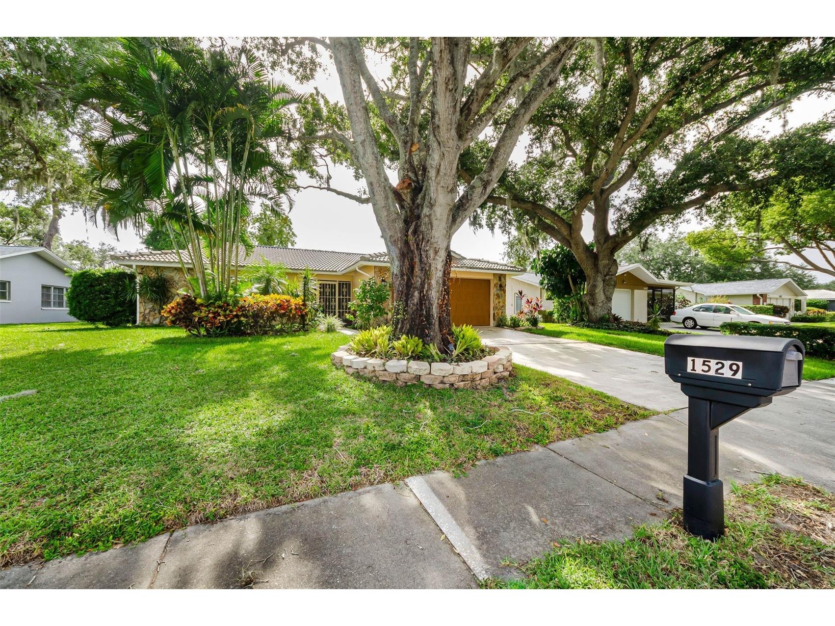 1529 E Dorchester Drive Palm Harbor FL 34684 TB8518054 image1