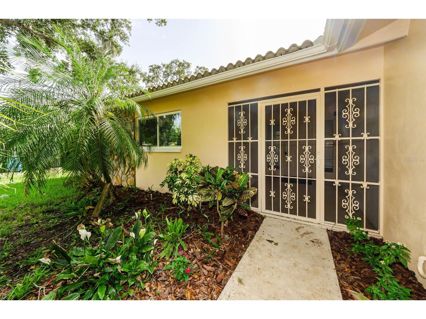 1529 E Dorchester Drive Palm Harbor FL 34684 TB8518054 image2