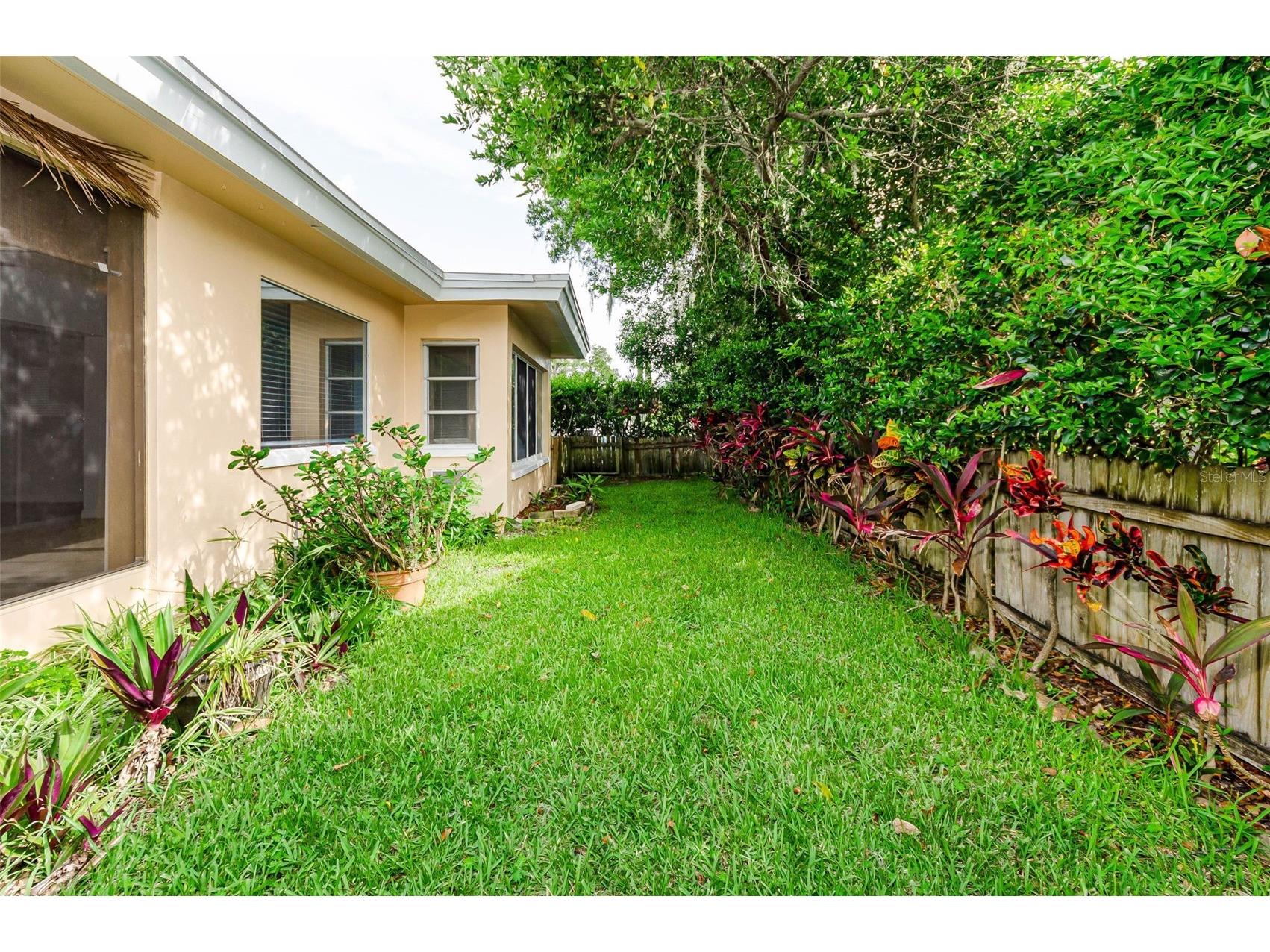 1529 E Dorchester Drive Palm Harbor FL 34684 TB8518054 image22