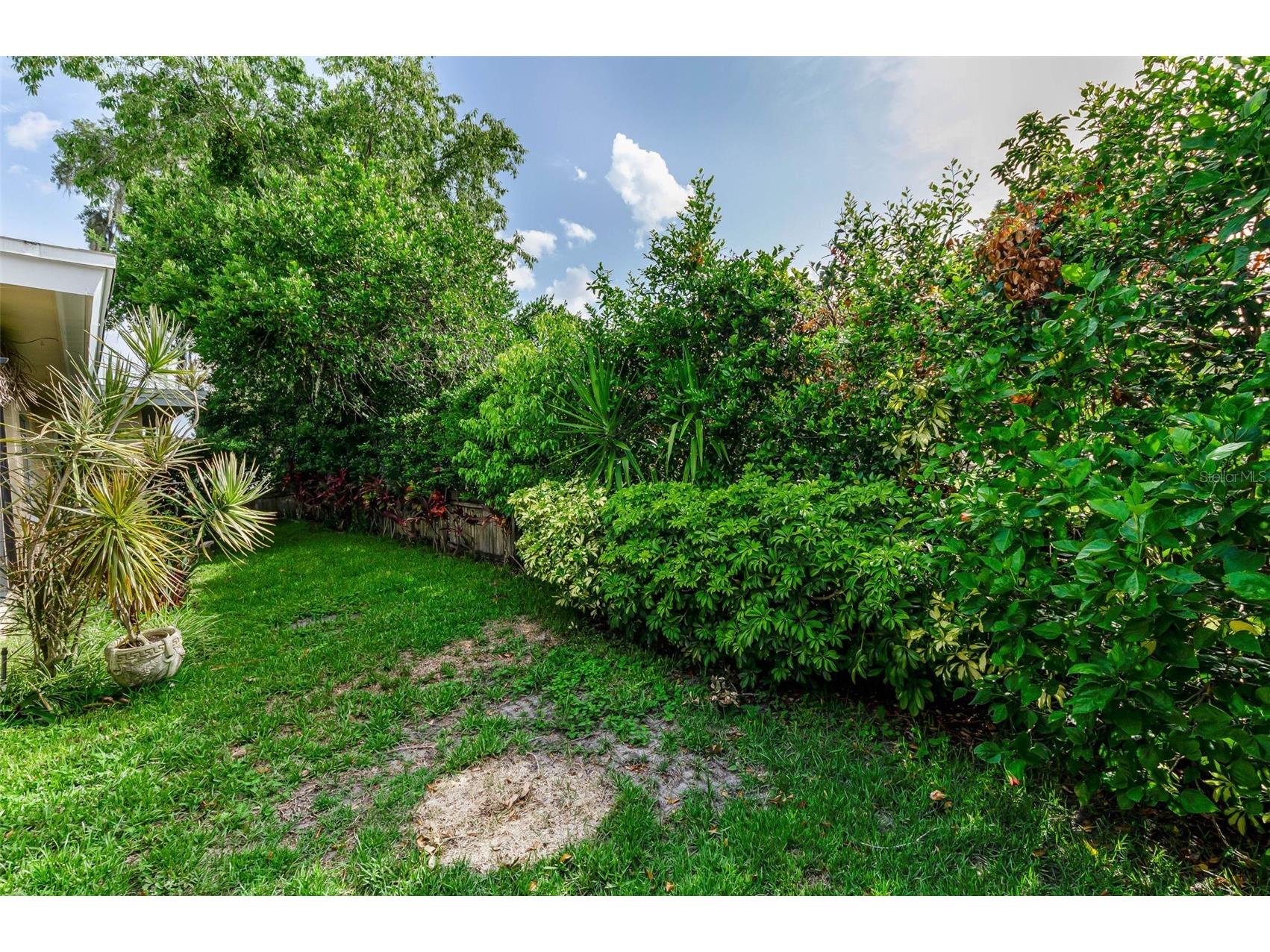 1529 E Dorchester Drive Palm Harbor FL 34684 TB8518054 image23