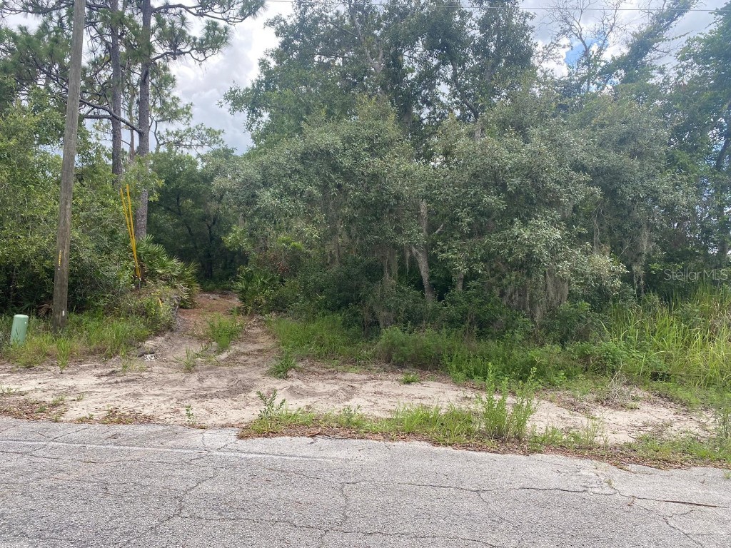 1529 Eloise Court Kissimmee FL 34759 T3542726 image1