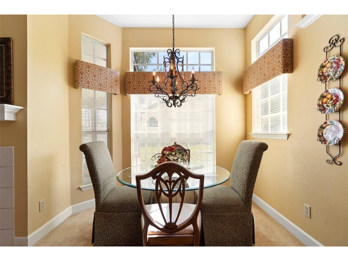 1529 Farrindon Circle Lake Mary FL 32746 O6317315 image8