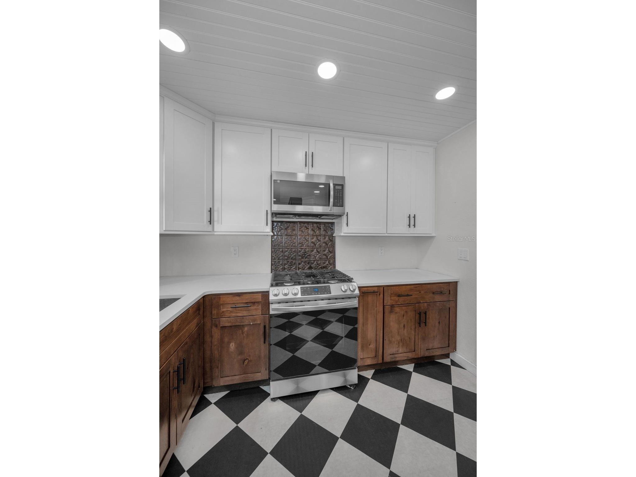 1529 Paloma Lane Dunedin FL 34698 TB8460243 image11