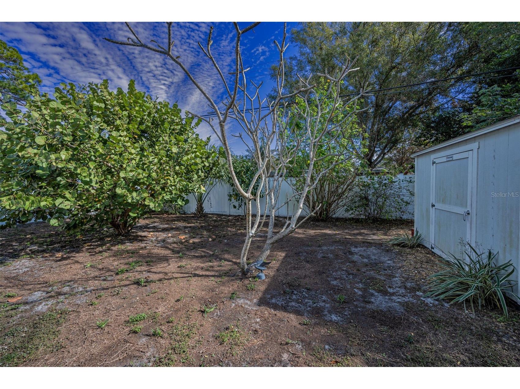 1529 Paloma Lane Dunedin FL 34698 TB8460243 image28