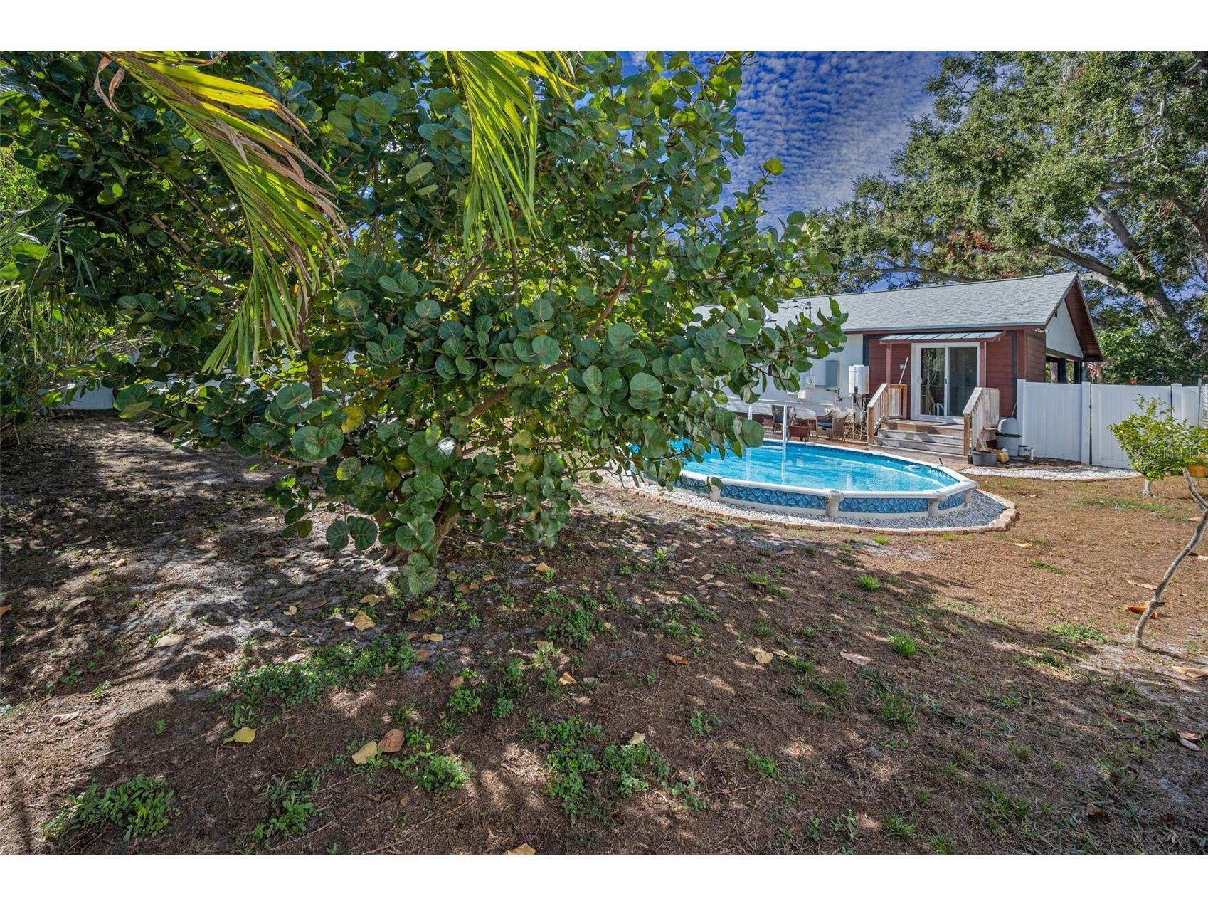 1529 Paloma Lane Dunedin FL 34698 TB8460243 image31