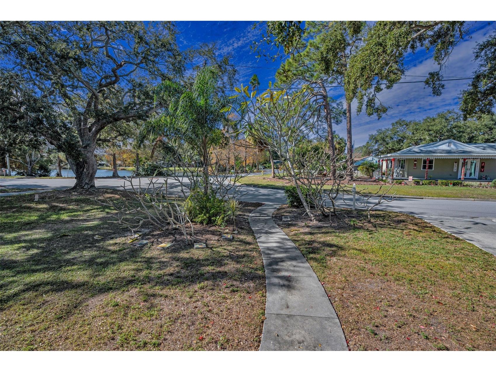 1529 Paloma Lane Dunedin FL 34698 TB8460243 image34